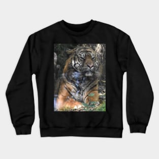 Sumatran Tiger Crewneck Sweatshirt